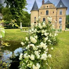 Château de Vaugrigneuse
