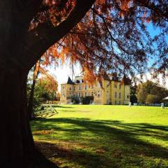 Château de Vaugrigneuse