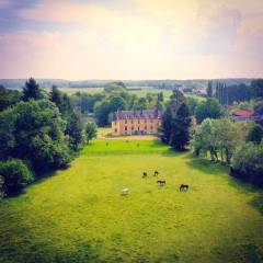 Château de Vaugrigneuse