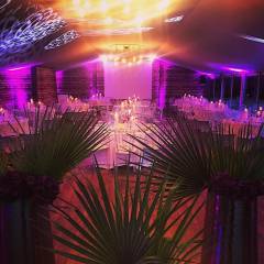 Château de Vaugrigneuse