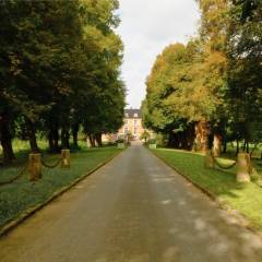Château de Vaugrigneuse Allée centrale bordée d’arbres séculaires