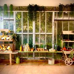 Château de Vaugrigneuse