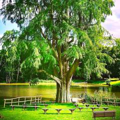 Château de Vaugrigneuse