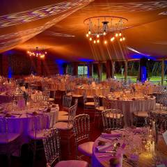 Château de Vaugrigneuse