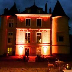 Château de Vaugrigneuse