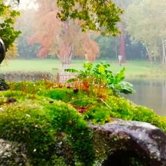 Château de Vaugrigneuse