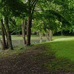 Vue de l’étang le long de l’allée centrale