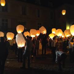 Château de Vaugrigneuse