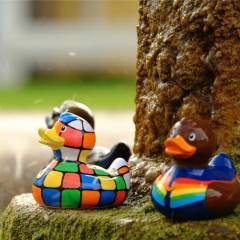 Les canards de la fontaine de la cour d’honneur.