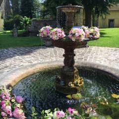 La fontaine de la cour d’honneur vêtue de roses.