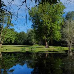 Les bords de l’étang avec sa grande pelouse.